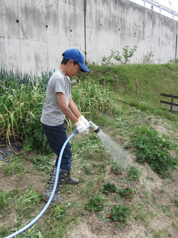 【CLUB FARM】2013年編